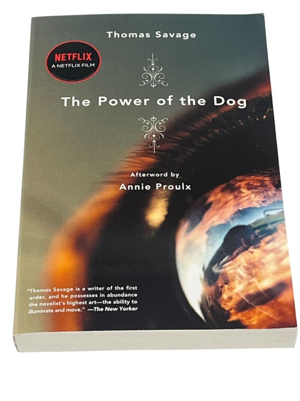 The Power of the Dog Thomas Savage Paperback Western Novel Book